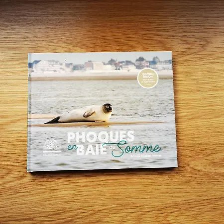 Le Temps D'une Escale A St Wary Saint-Valéry-sur-Somme