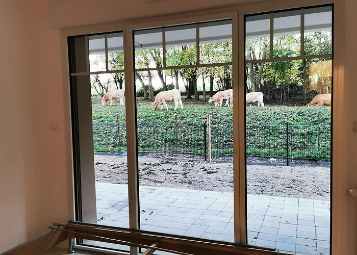 Apartament Le Temps D'une Escale A St Wary *