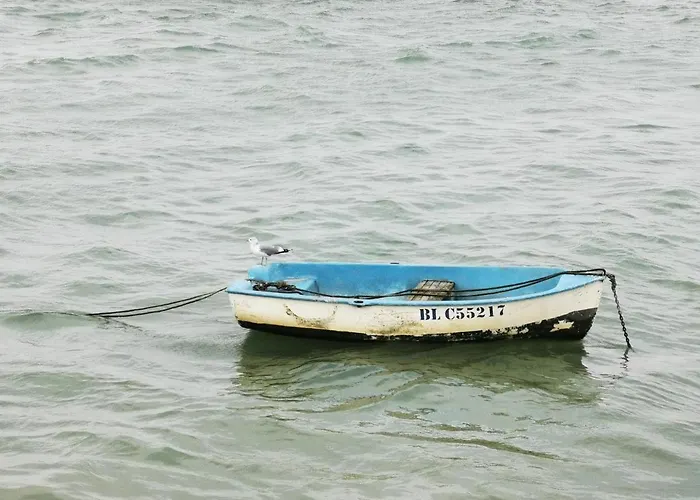 Apartament Le Temps D'une Escale A St Wary