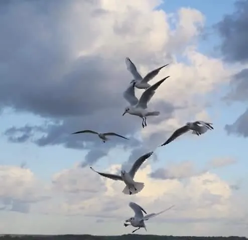 Apartament Le Temps D'une Escale A St Wary